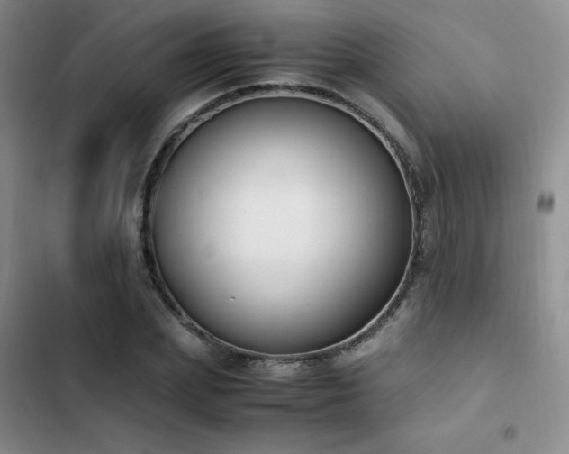 X0000102840831200808181346