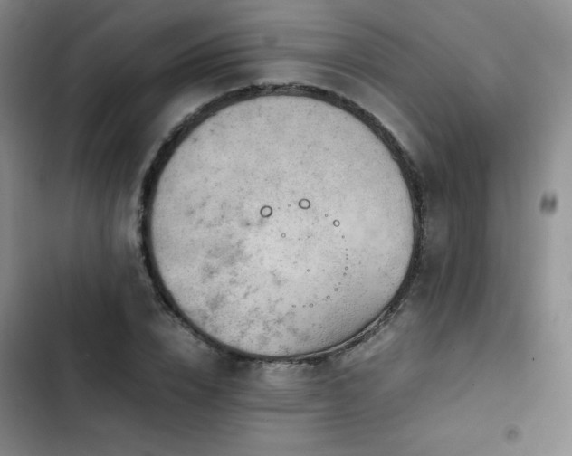 X0000102840832200808181346