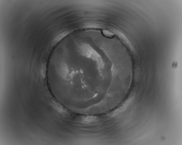 X0000102840833200808181346