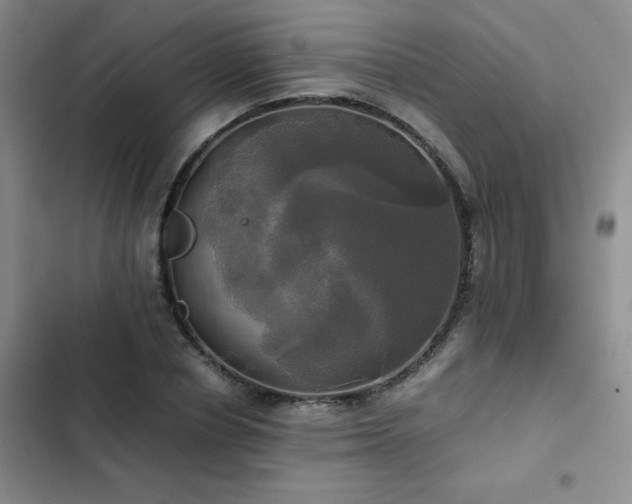 X0000102840834200808181346