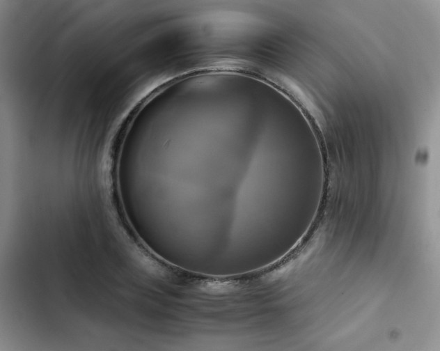 X0000102840835200808181346