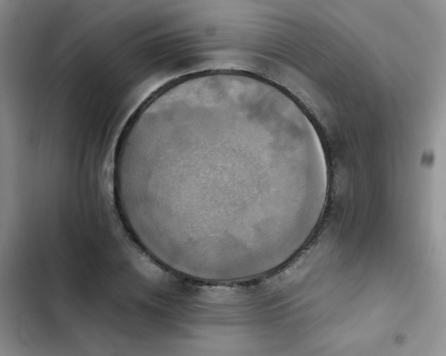 X0000102840836200808181346