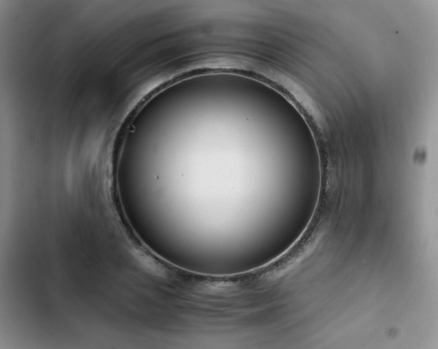 X0000102840837200808181346