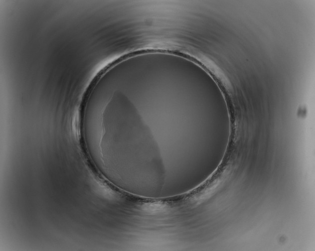 X0000102840838200808181346