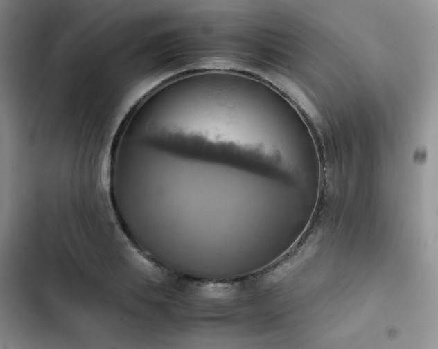 X0000102840839200808181346