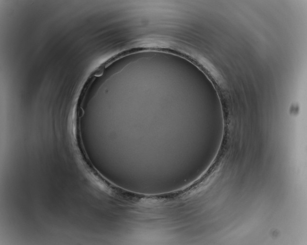 X0000102840840200808181346