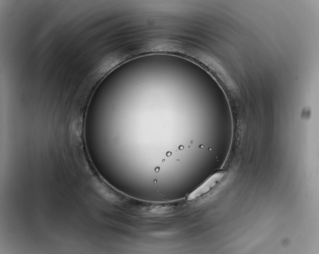 X0000102840841200808181346