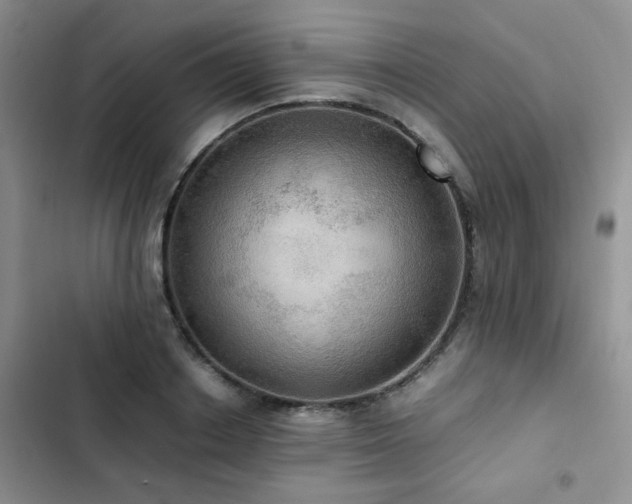 X0000102840842200808181346