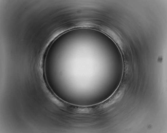 X0000102840843200808181346