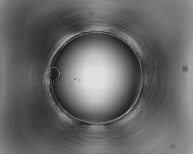 X0000102840844200808181346