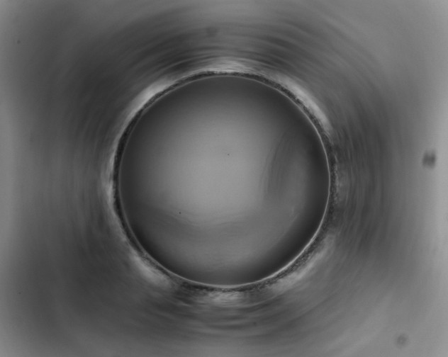 X0000102840845200808181346