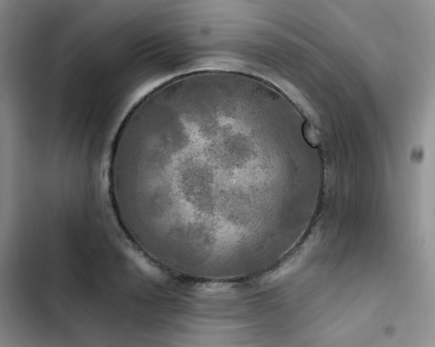 X0000102840846200808181346