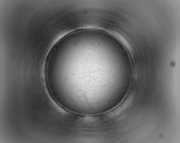 X0000102840847200808181346