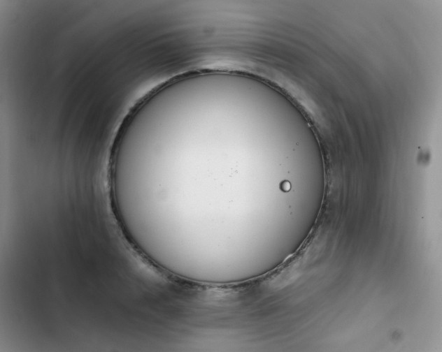 X0000102840848200808181346