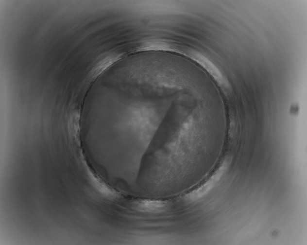 X0000102840849200808181346