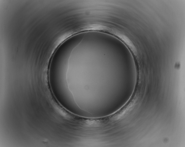 X0000102840850200808181346