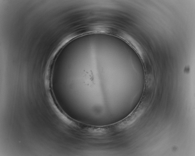 X0000102840851200808181346