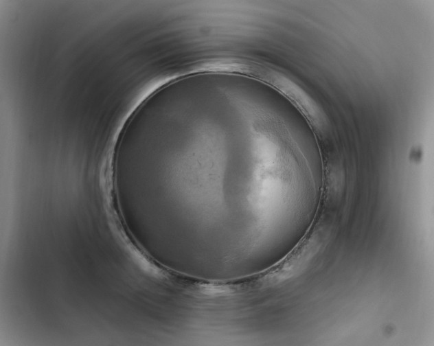 X0000102840852200808181346