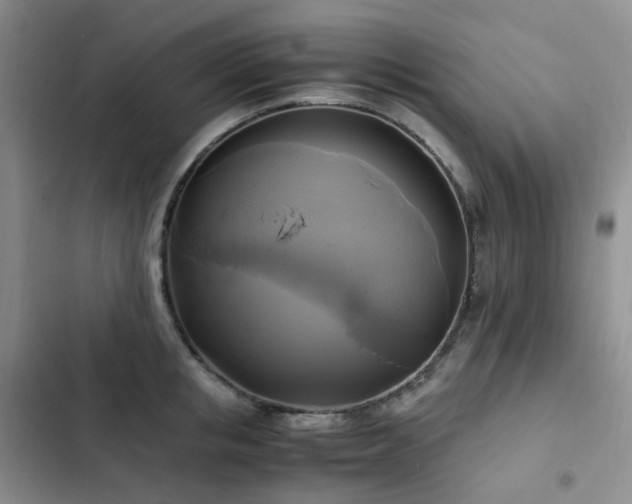 X0000102840853200808181346