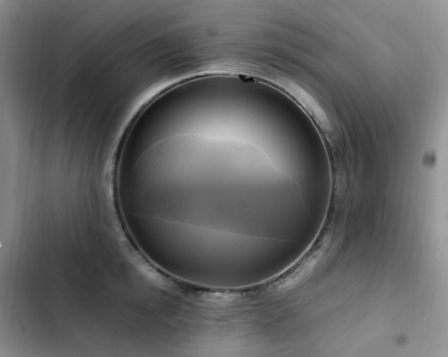 X0000102840854200808181346