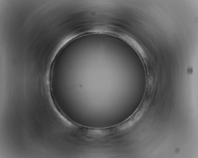 X0000102840855200808181346