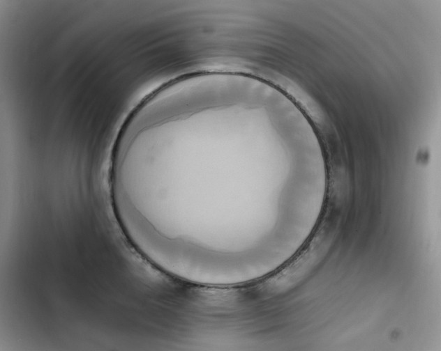 X0000102840856200808181346