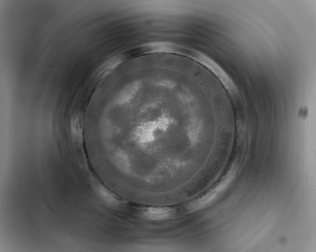 X0000102840857200808181346