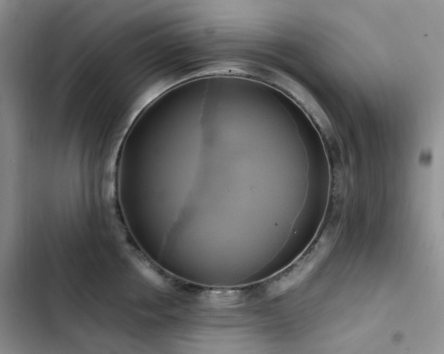 X0000102840858200808181346