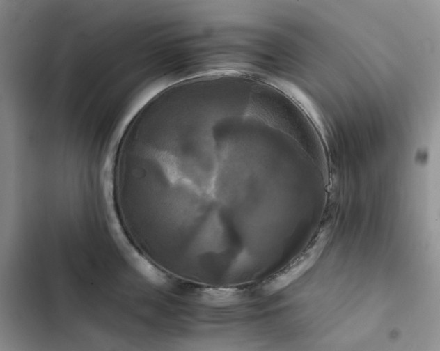 X0000102840859200808181346