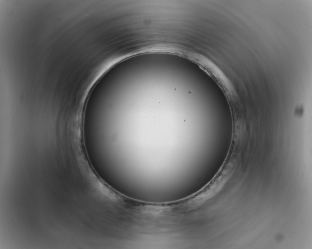 X0000102840860200808181346