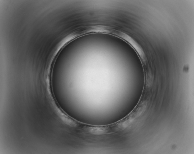 X0000102840861200808181346