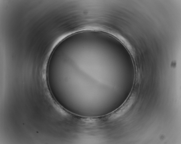 X0000102840862200808181346