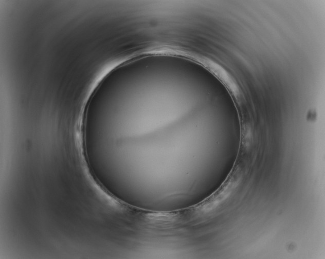 X0000102840863200808181346