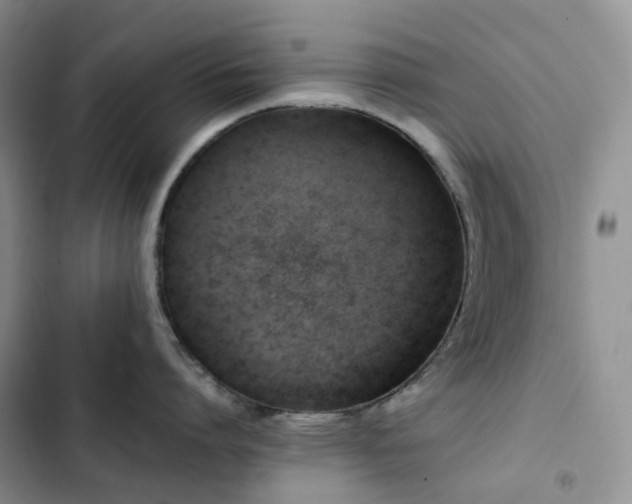 X0000102840864200808181346