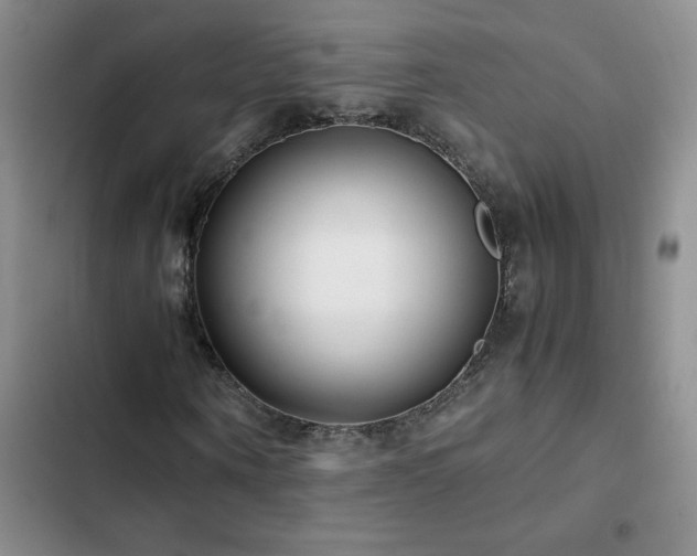 X0000102840866200808181346