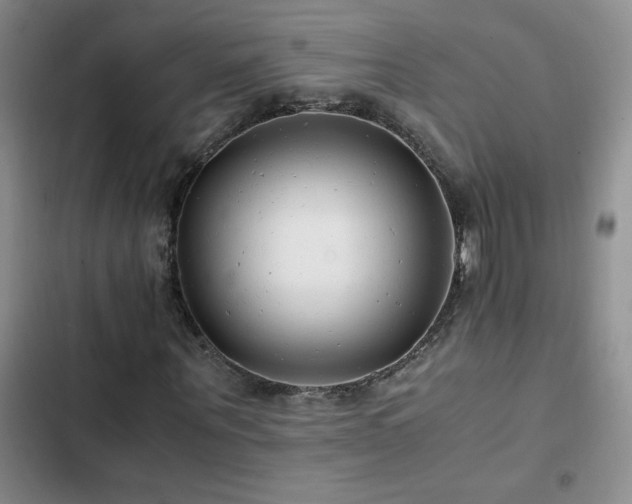 X0000102840867200808181346