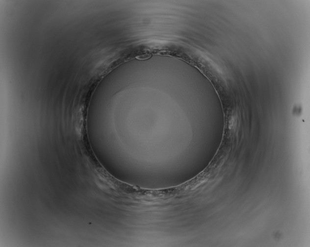 X0000102840868200808181346