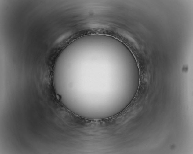 X0000102840869200808181346