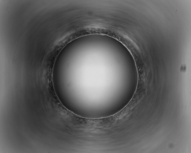 X0000102840870200808181345