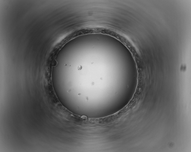 X0000102840871200808181345