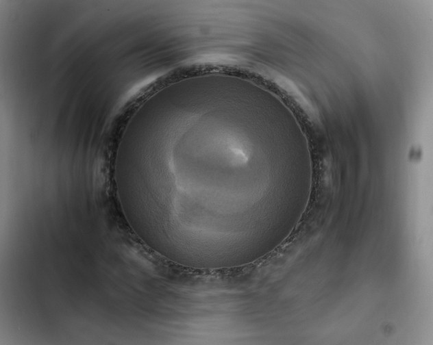 X0000102840872200808181345