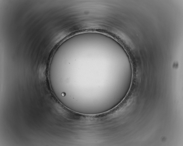 X0000102840873200808181345