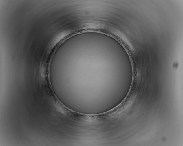 X0000102840874200808181345