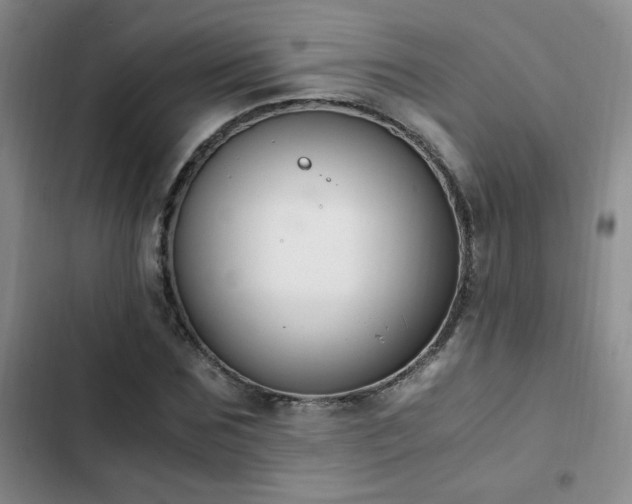 X0000102840875200808181345