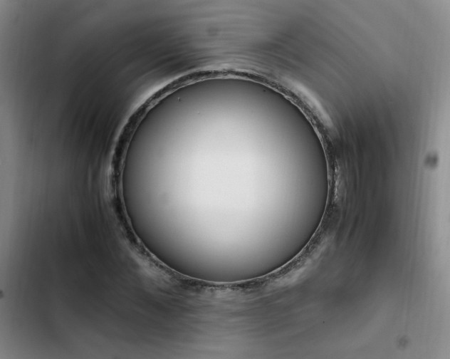 X0000102840876200808181345