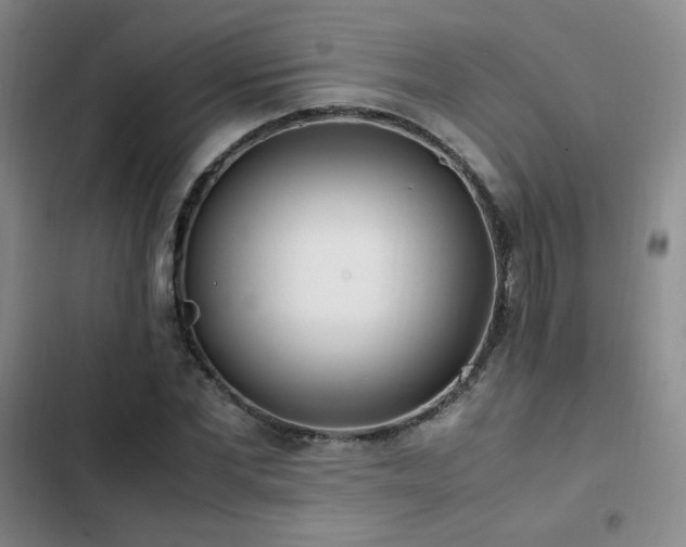 X0000102840877200808181345