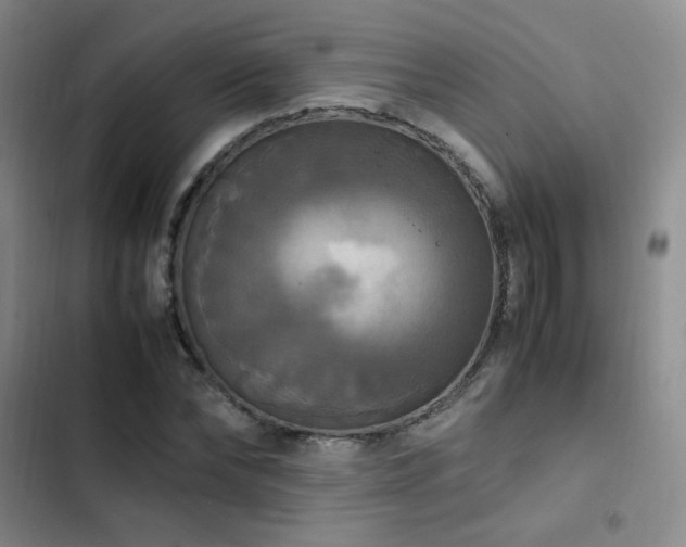 X0000102840878200808181345