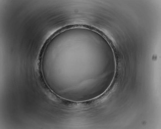 X0000102840879200808181345