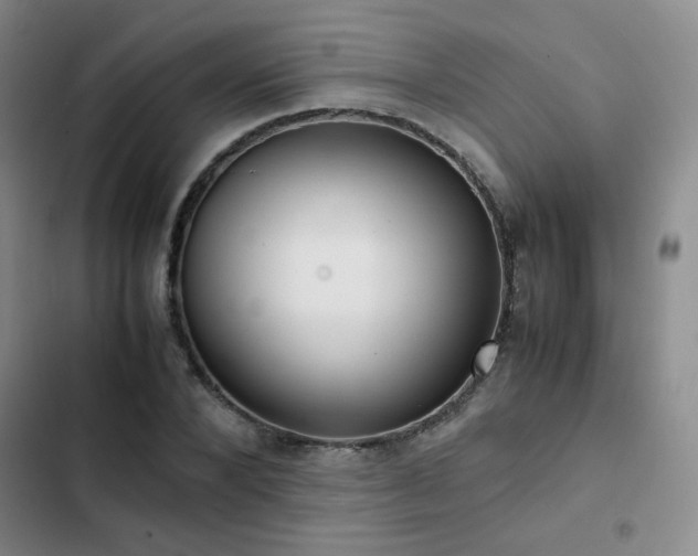 X0000102840880200808181345