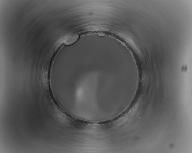 X0000102840881200808181345